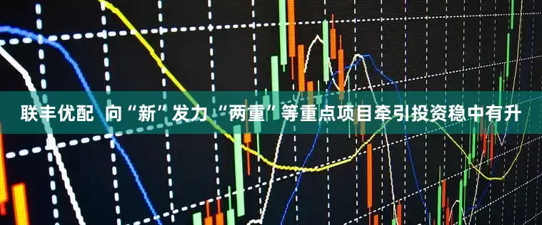 联丰优配  向“新”发力 “两重”等重点项目牵引投资稳中有升