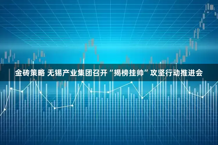 金砖策略 无锡产业集团召开“揭榜挂帅”攻坚行动推进会
