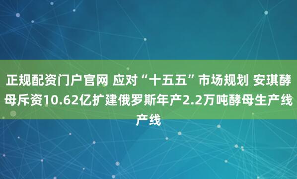 正规配资门户官网 应对“十五五”市场规划 安琪酵母斥资10.62亿扩建俄罗斯年产2.2万吨酵母生产线